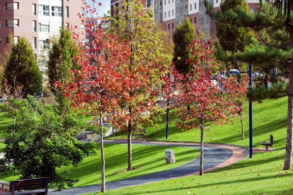 Parque Ametzola