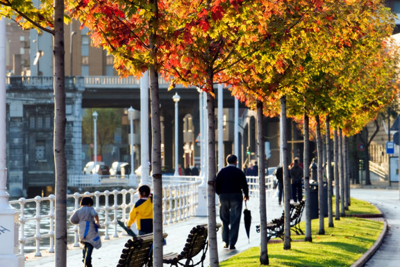 Avenida de las Universidades