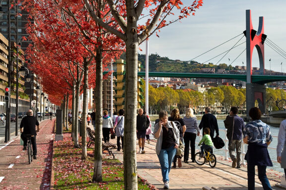 Avenida de las Universidades