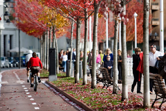 Avenida de las Universidades