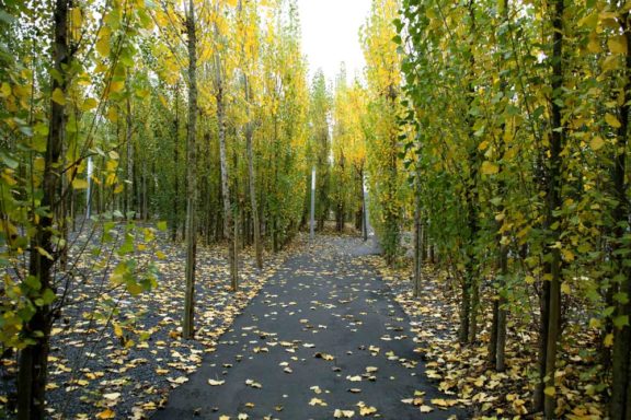 Campo de fútbol Lasesarre