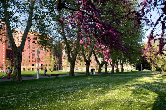 Parque de Doña Casilda